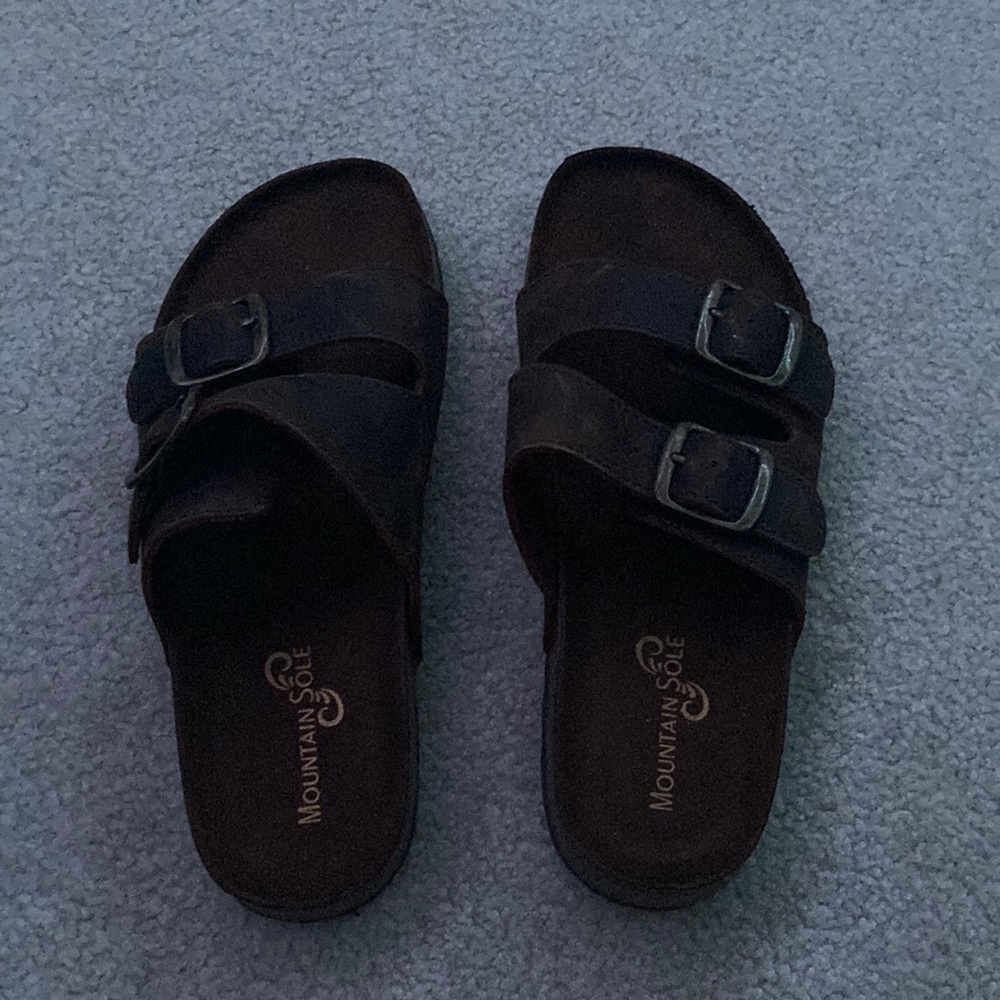 brown slides